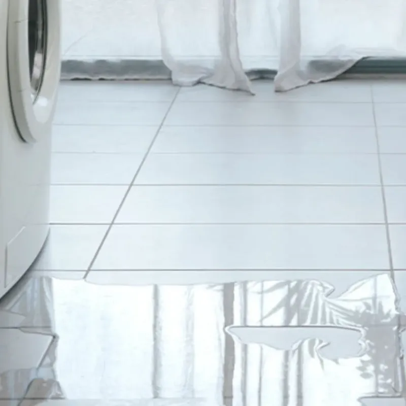 Appliance Leak Cleanup in South Brooksville, FL