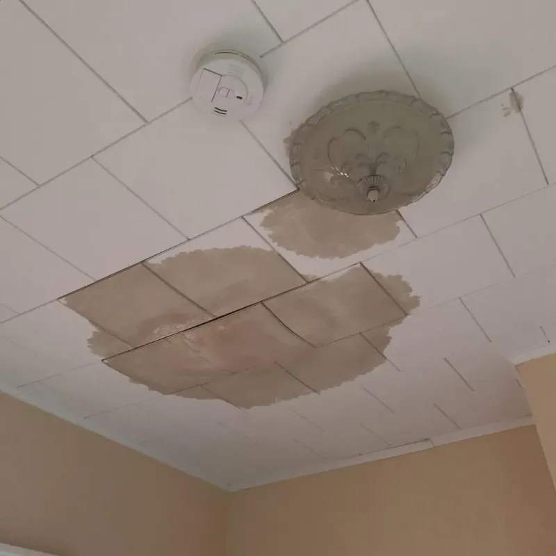 Ceiling Water Damage Repair in South Brooksville, FL