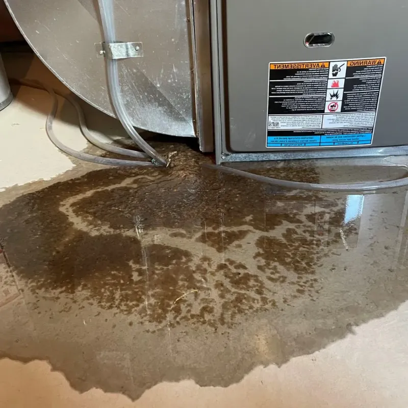 Pipe Burst and Leak Restoration in South Brooksville, FL